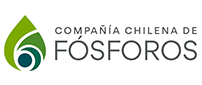 Compañía Chilena de Fósforos